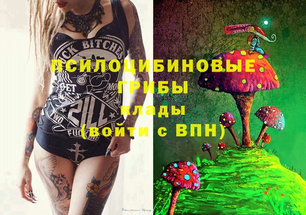 Альфа ПВП Пестово