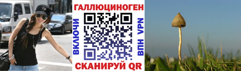 Галлюциногенные грибы Cubensis  хочу   Тырныауз 